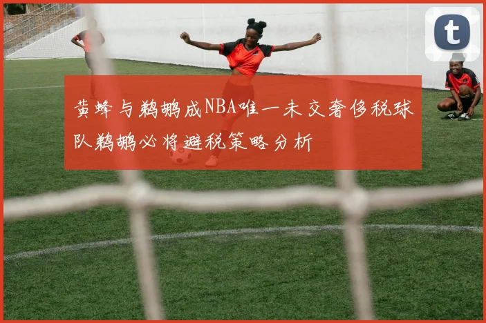黄蜂与鹈鹕成NBA唯一未交奢侈税球队鹈鹕必将避税策略分析
